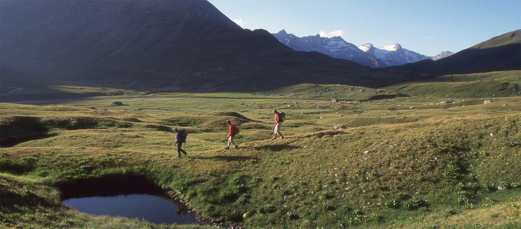 walking through Reina region